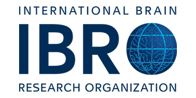 IBRO